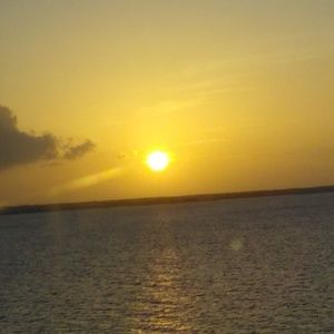 Meet your Posher, Zoe